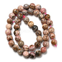 Natural Rhodonite Beads Strands&nbsp;G-R494-A12-03