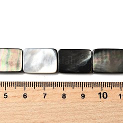 Natural Black Lip Shell Beads Strands&nbsp;BSHE-D300-03-13x18mm