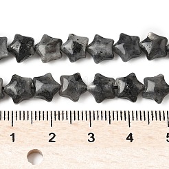 Natural Larvikite Star Beads Strands&nbsp;G-Z080-A03