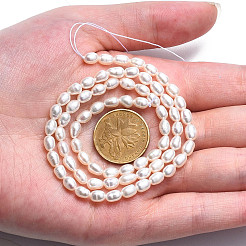 Natural Cultured Freshwater Pearl Beads Strands&nbsp;PEAR-N012-04D