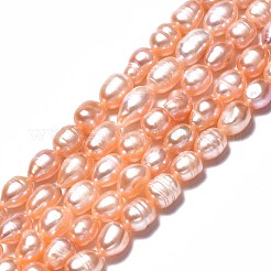 天然養殖淡水パールビーズ連売り  ライス  パールピンク  6.5~14.5x6~9mm  穴：0.8mm  約31~42個/連  14.09''~14.37''（35.8cm〜36.5cm）&nbsp;PEAR-N012-06B