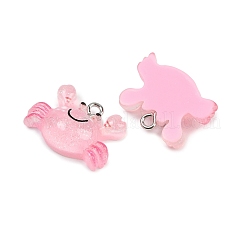 Transparent Resin Pendants&nbsp;RESI-F058-01B
