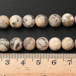 Natural Feldspar Bead Strands&nbsp;G-P295-06-8mm