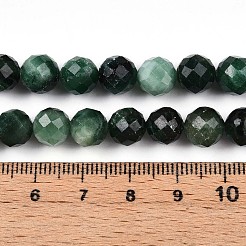 Natural Fuchsite Beads Strands&nbsp;G-T140-20B