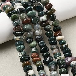Natural Indian Agate Nuggets Beads Strands&nbsp;G-P091-35