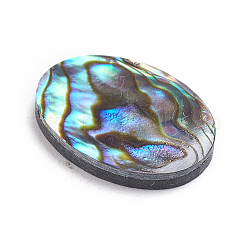 Natural Abalone Shell/Paua Shell Cabochons&nbsp;LS-SSHEL-L017-003