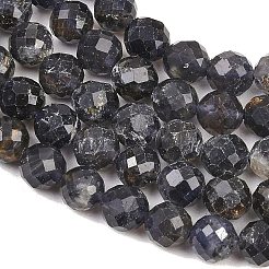 Natural Iolite Beads Strands&nbsp;G-RM250101-E7