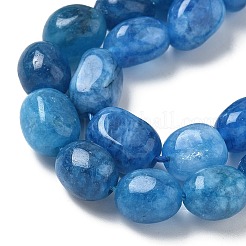 Dyed Natural Malaysia Jade Beads Strands&nbsp;G-P528-I13-01