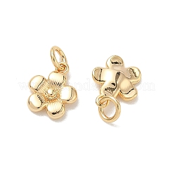 SHEGRACE Brass Pendants&nbsp;XGRQ3D665-472G