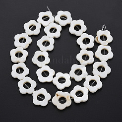 Freshwater Shell Beads Frames Strands&nbsp;SHEL-T009-14A