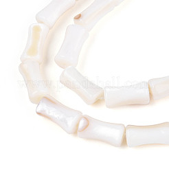 天然淡水シェルビーズ連売り  竹  貝殻色  9.5~10x4.5~5.5mm  穴：0.6mm  約38個/連  14.76インチ（37.5cm）&nbsp;SHEL-N038-02
