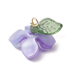 4Pcs 4 Colors Resin Pendants&nbsp;PALLOY-TA00213-01
