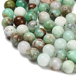 Natural Chalcedony Beads Strands&nbsp;G-C259-B03-10mm