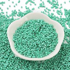 Baking Paint Glass Seed Beads&nbsp;X-SEED-S042-05B-60