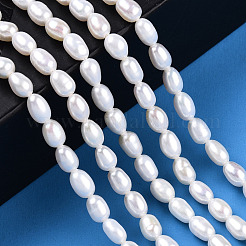 Natural Cultured Freshwater Pearl Beads Strands&nbsp;PEAR-N012-04K
