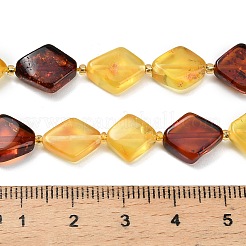 Natural Amber Beads Strands&nbsp;G-Z106-D01