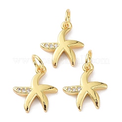 Brass Micro Pave Cubic Zirconia Charms&nbsp;ZIRC-C022-24G