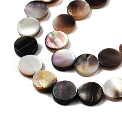天然ブラックリップシェルビーズ連売り  フラットラウンド  10x2.5~3mm  穴：0.8mm  約40個/連  15.35インチ（39cm）&nbsp;SSHEL-N003-151B