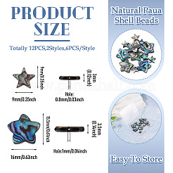 12pcs2スタイルナチュラルアワビシェル/パウアシェルビーズ  スター  カラフル  9~15.5x9~16x3~3.5mm  穴：0.8~1mm  6個/スタイル&nbsp;SHEL-TA0001-40