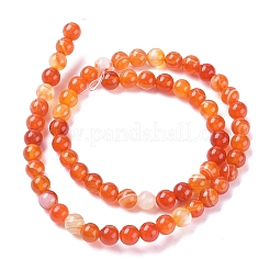 天然石縞瑪瑙/バンデットアゲートビーズ連売り  染め＆加熱  ラウンド  サンゴ  8mm  穴：1.2mm  約47個/連  14.96インチ（38cm）&nbsp;X-G-G582-8mm-62