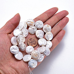 天然ケシパールビーズ連売り  養殖淡水パール  フラットラウンド  貝殻色  16~18x3~8mm  穴：0.6mm  約22~23個/連  14.57~15.35インチ（37~39cm）&nbsp;PEAR-S018-04D