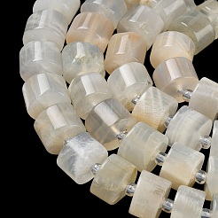 Natural White Moonstone Beads Strands&nbsp;G-C270-I09-01