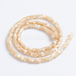 Natural Trochid Shell/Trochus Shell Beads Strands&nbsp;SSHEL-L016-13B