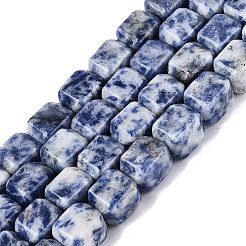 Natural Blue Spot Jasper Beads Strands&nbsp;G-Q608-10G