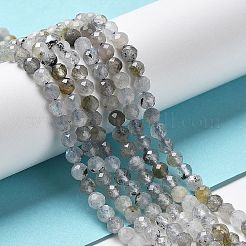 Natural Labradorite Beads Strands&nbsp;X-G-I341-11