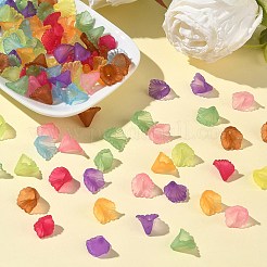 Transparent Acrylic Beads&nbsp;PL622M