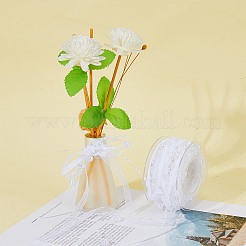 10M Polyester Ribbon&nbsp;OCOR-WH0086-43C