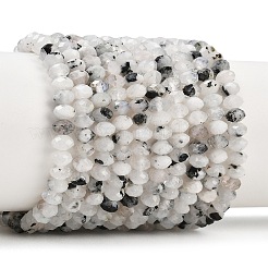 Natural Rainbow Moonstone Beads Strands&nbsp;G-B175-A01-3x5mm
