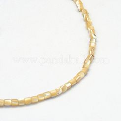 天然トロチッドシェル/トロカスシェルビーズ連売り  オーバル  小麦  3x3mm  穴：1mm  約135~140個/連  15.7インチ&nbsp;X-SSHEL-R037-23