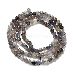 Natural Iolite Beads Strands&nbsp;G-RM2025-22-3mm