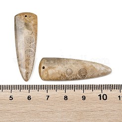 天然の化石のサンゴペンダント  マッチするチャーム  三角形のチャーム  39~40x13~13.5x4~4.5mm  穴：1.2mm&nbsp;G-B187-01C-07