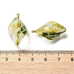 内側のドライフラワー透明樹脂ペンダント  真鍮のパーツと  葉のチャーム  きいろ  27.5x15x7mm  穴：1.6mm&nbsp;RESI-A043-02C