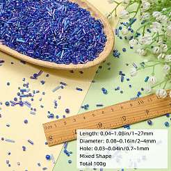 100G Glass Seed Beads&nbsp;SEED-SZ0001-027C