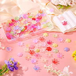 169Pcs Transparent Plastic Bead Caps&nbsp;KY-TA0001-57