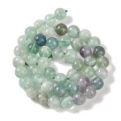 Natural Fluorite Beads Strands&nbsp;X-G-P530-B04-03