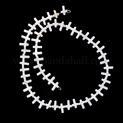 Natural Freshwater Shell Beads Strands&nbsp;SH-CBA2978-14