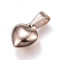 304 Stainless Steel Charms&nbsp;STAS-H330-22RG