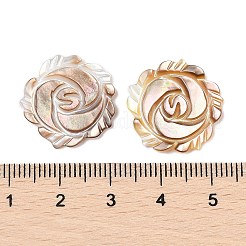 天然の黒リップシェル彫刻カボション  花  19x2mm&nbsp;SSHEL-I026-16