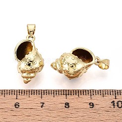 真鍮チャーム  巻き貝の形  16KGP本金メッキ  20.5x11x11mm  穴：3~3.5x5mm&nbsp;KK-T071-84G
