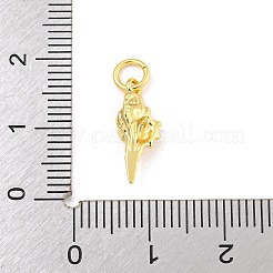 Rack Plating Brass Pendants&nbsp;KK-Z048-06-02G