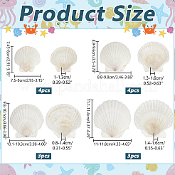 14個 4スタイル 天然シェルペイントアクセサリー  塗装用品  ホワイト  7.45~11.4x7.5~11.8x0.8~1.6cm&nbsp;DIY-NB0012-05