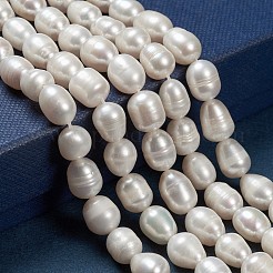 天然養殖淡水パールビーズ連売り  ライス  リネン  9~12x8.5~9mm  穴：0.5mm  約15~19個/連  7.08''（17.98センチメートル）&nbsp;X-PEAR-N012-08N