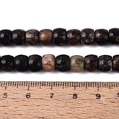 Natural Biotite Beads Strands&nbsp;G-Q616-02A-11