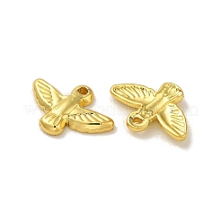 304 Stainless Steel Charms&nbsp;STAS-Q322-19G