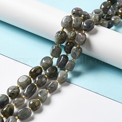 Natural Labradorite Beads Strands&nbsp;G-B028-B04
