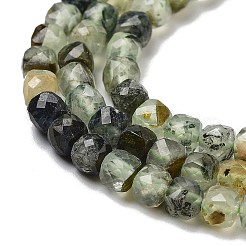 Natural Prehnite Beads Strands&nbsp;G-B088-E16-04